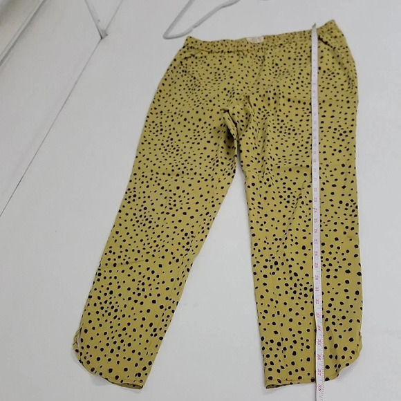 Marine Layer Allison Pants: womens medium, gold color with black polka dots. 💛⚫️ - Picture 2 of 11